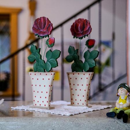 Garni Crepaz Bed & Breakfast Selva di Val Gardena Dış mekan fotoğraf