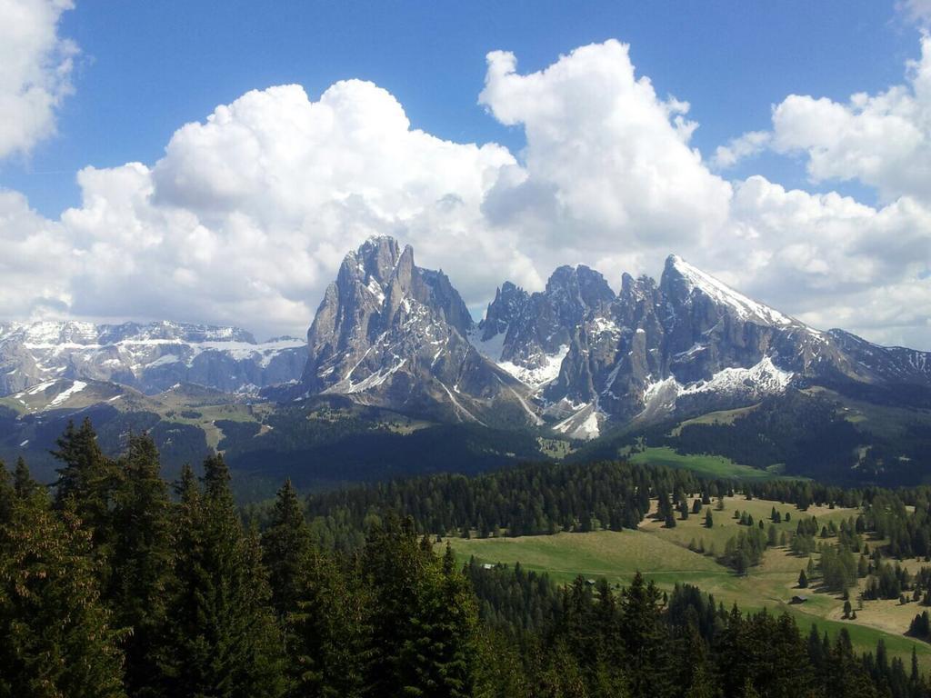 Garni Crepaz Bed & Breakfast Selva di Val Gardena Dış mekan fotoğraf